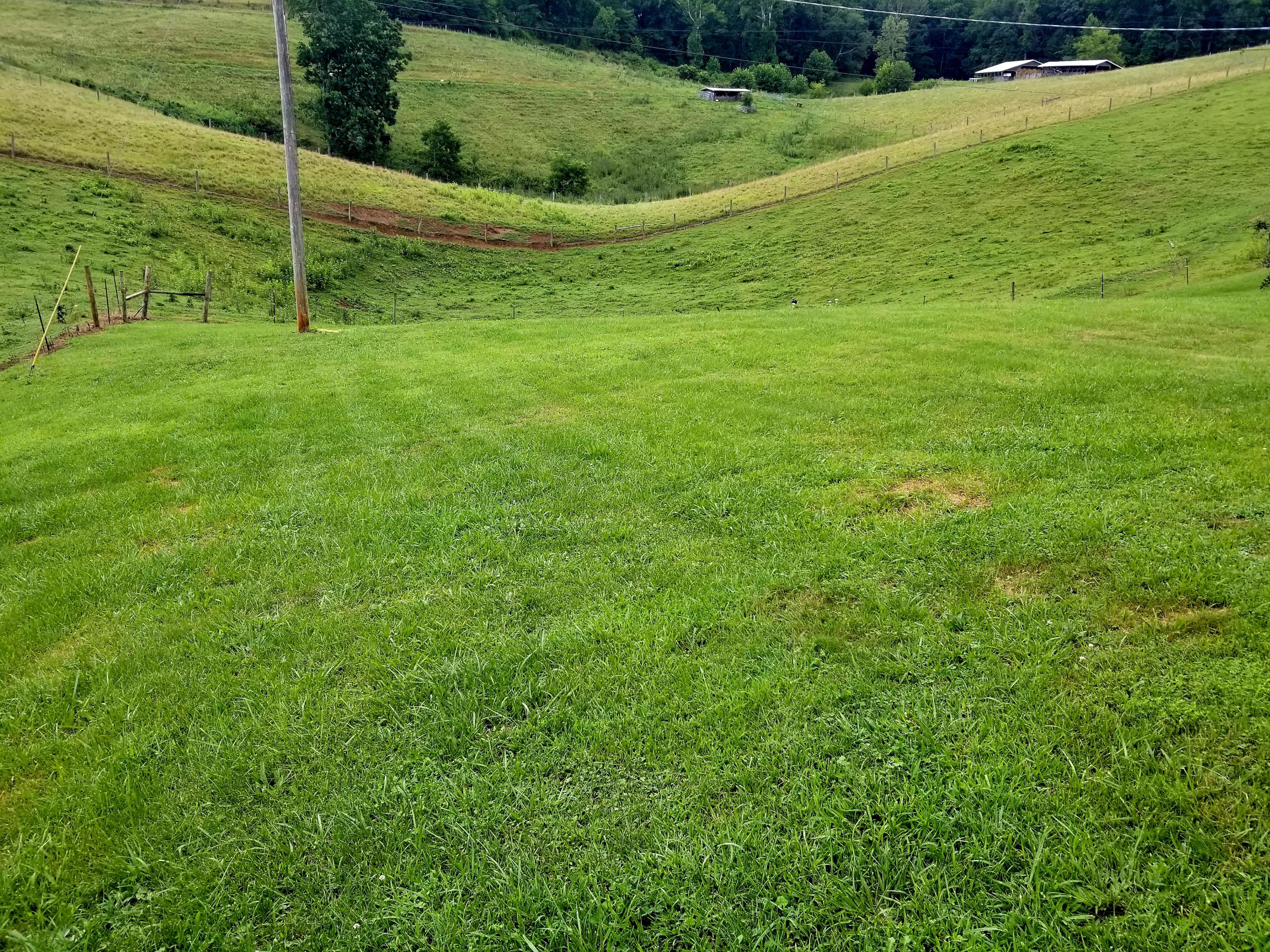 177 Red Fletcher Road Jonesville, VA 24263 - Photo 11 of 35 20180802_155313