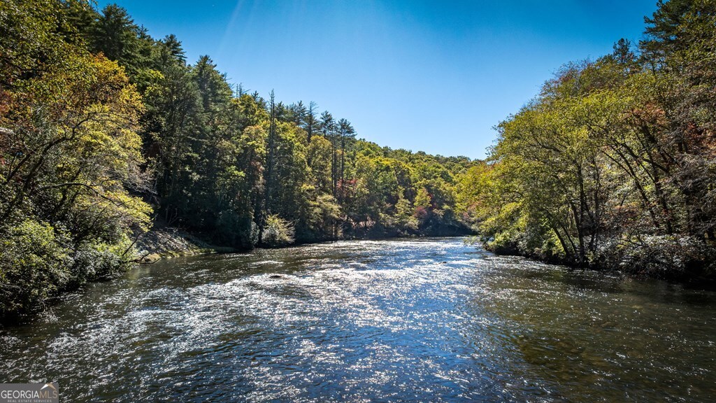 19 River Chase Way Mineral Bluff, GA 30559 - Photo 2 of 53 a view of a yard with large trees