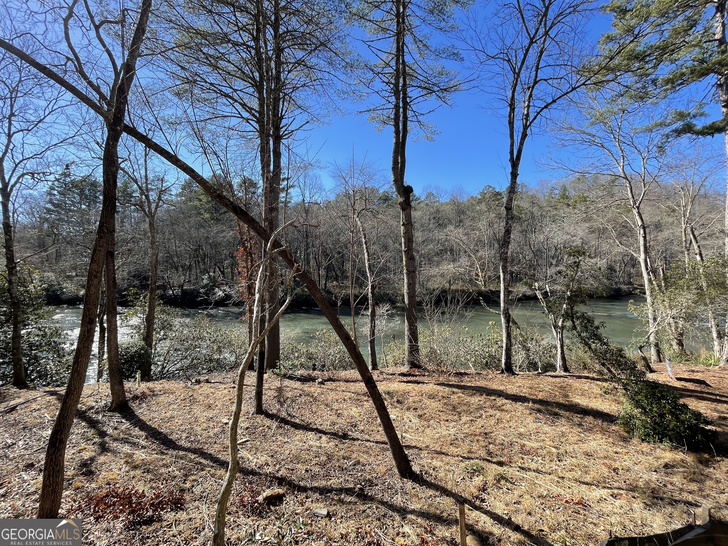 19 River Chase Way Mineral Bluff, GA 30559 - Photo 36 of 53 a view of a backyard of the house