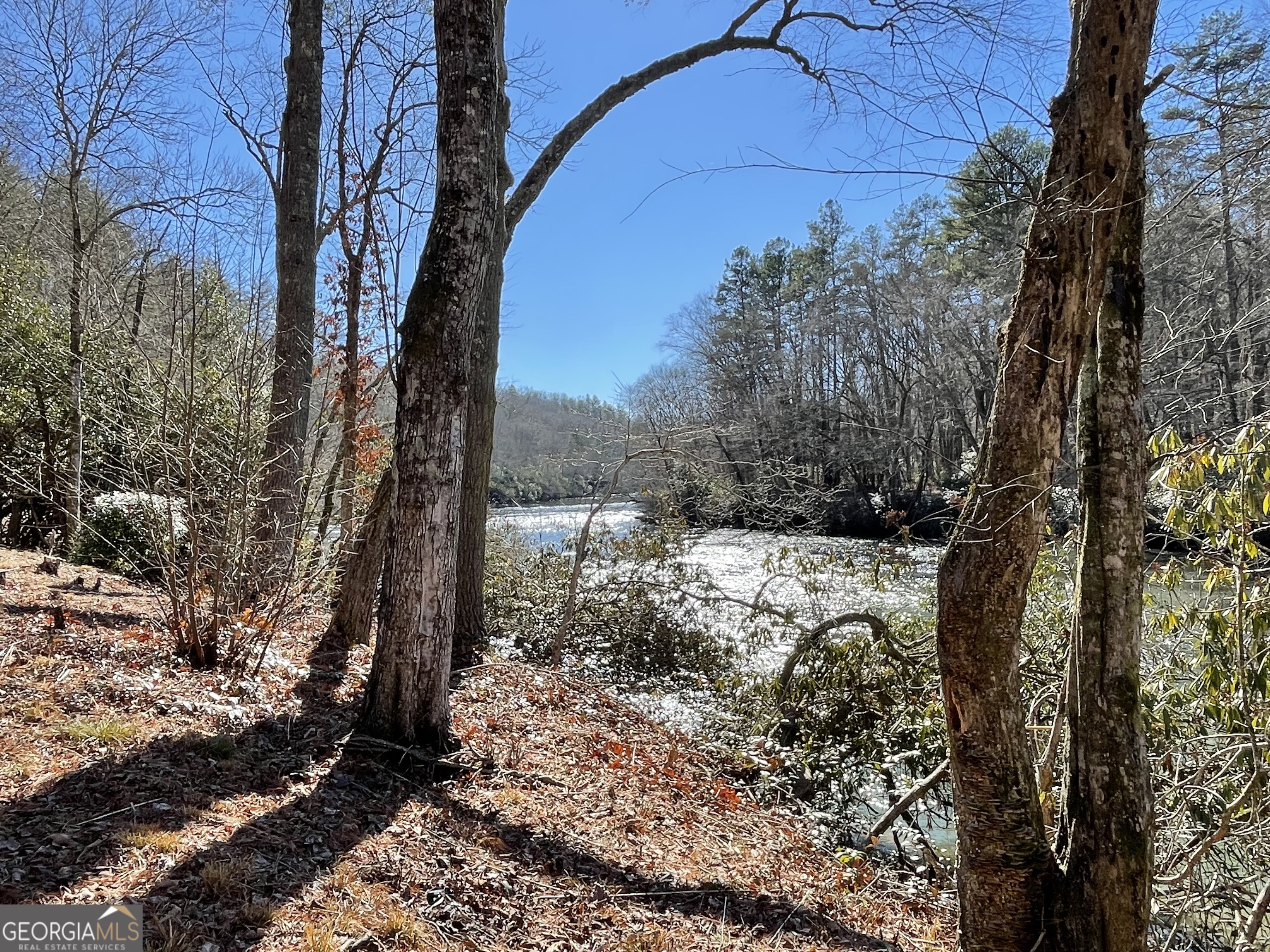19 River Chase Way Mineral Bluff, GA 30559 - Photo 37 of 53 a view of a yard with trees
