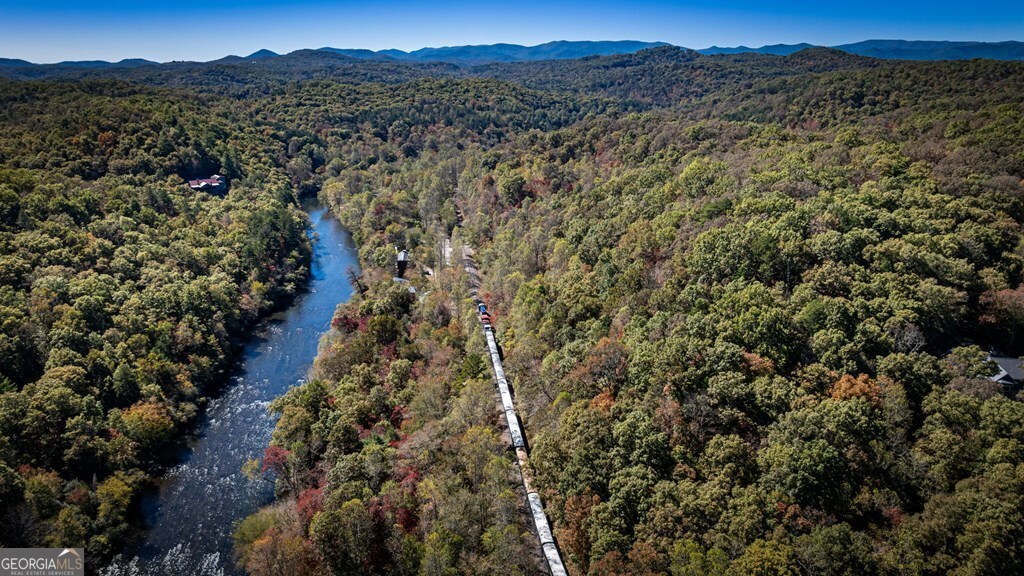 19 River Chase Way Mineral Bluff, GA 30559 - Photo 45 of 53