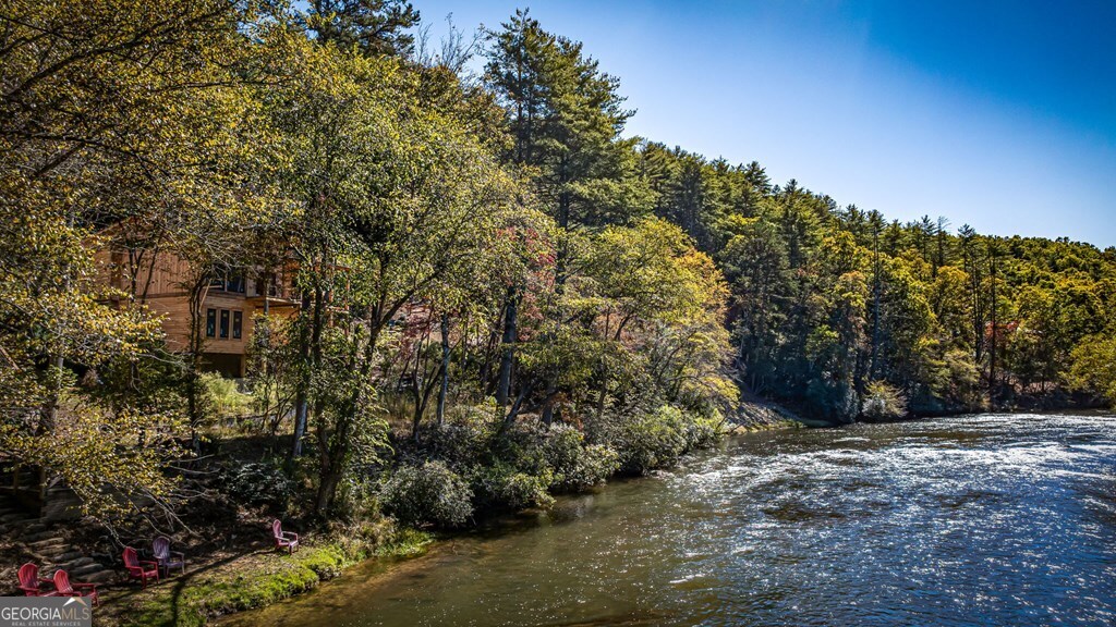 19 River Chase Way Mineral Bluff, GA 30559 - Photo 47 of 53 a view of outdoor space and trees