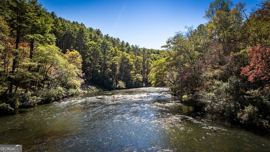 19 River Chase Way Mineral Bluff, GA 30559 - Photo 48 of 53 a view of a yard with plants and trees