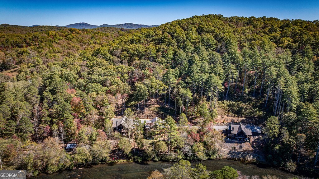 19 River Chase Way Mineral Bluff, GA 30559 - Photo 53 of 53 a view of a large tree