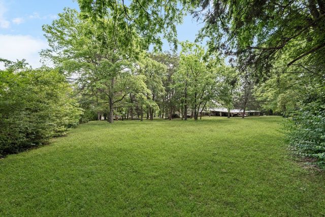 a view of a field with trees in the background
