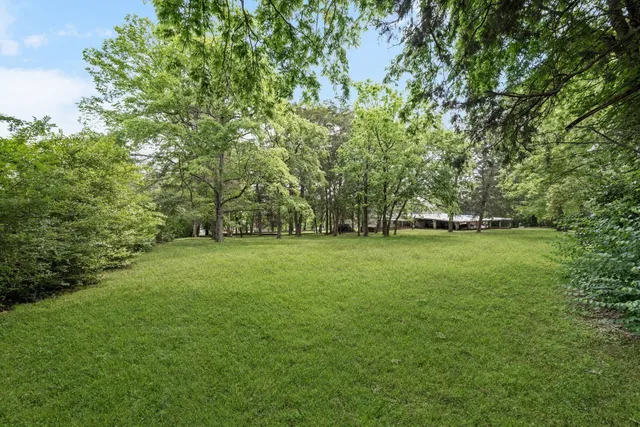a view of a field with trees in the background