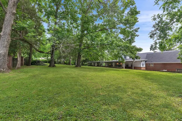 a view of a backyard with a garden