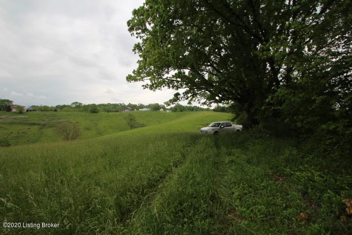 1 Fairmount Tanner Road Lawrenceburg, KY 40342 - Photo 25 of 39 IMG_4890