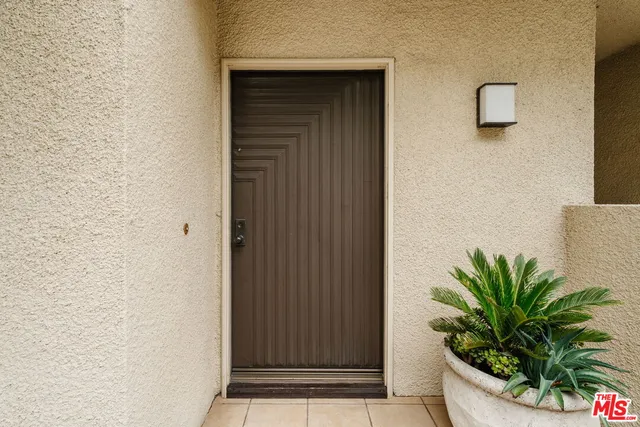 a potted plant in front of a door
