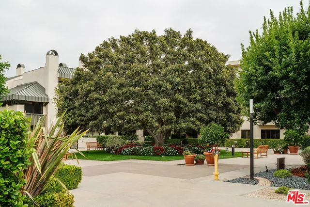 a view of a park with potted plants and large trees