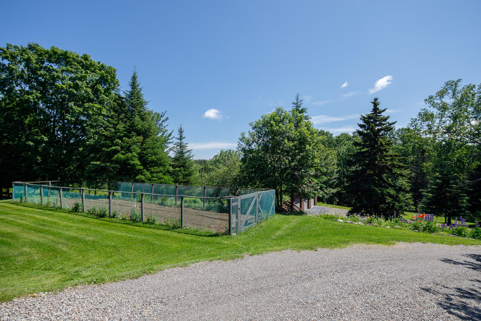 100 Proctor Road Rangeley, ME 04970 - Photo 8 of 66 5D4_8613