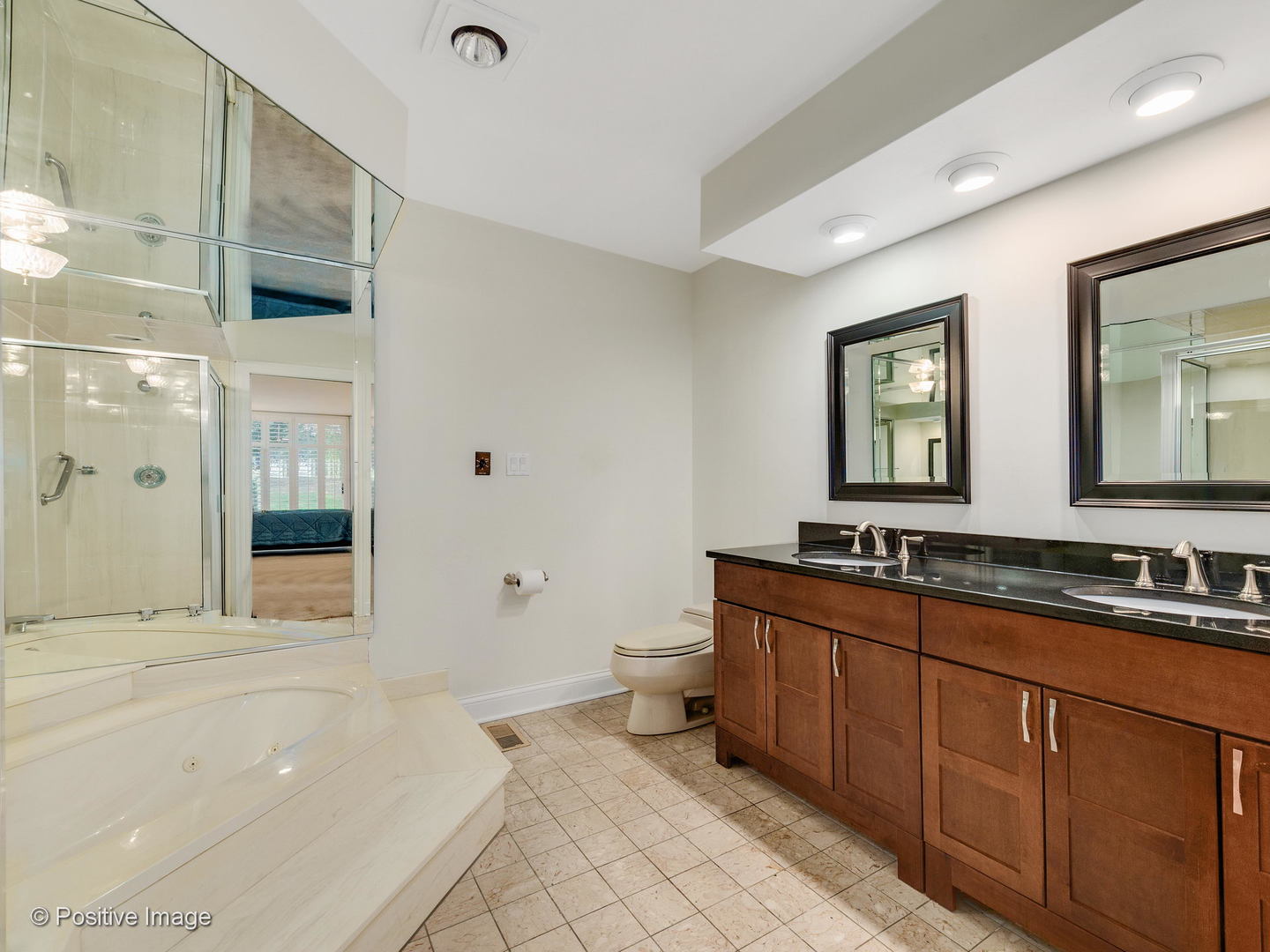 1228 Indian Trail Road Hinsdale, IL 60521 - Photo 17 of 27 a spacious bathroom with a granite countertop sink a toilet a mirror and shower
