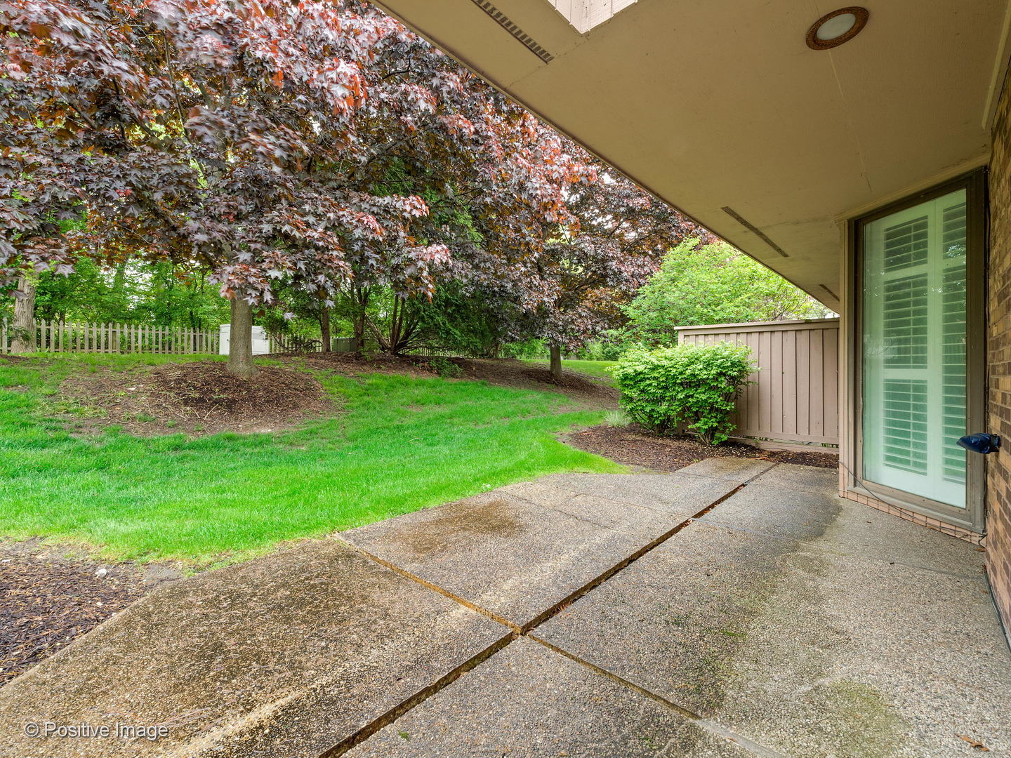 1228 Indian Trail Road Hinsdale, IL 60521 - Photo 22 of 27 a view of a yard with potted plants and tree