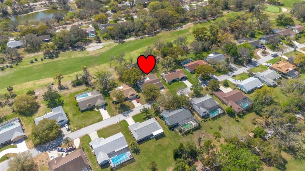 8210 Valley Stream Lane Hudson, FL 34667 - Photo 37 of 39