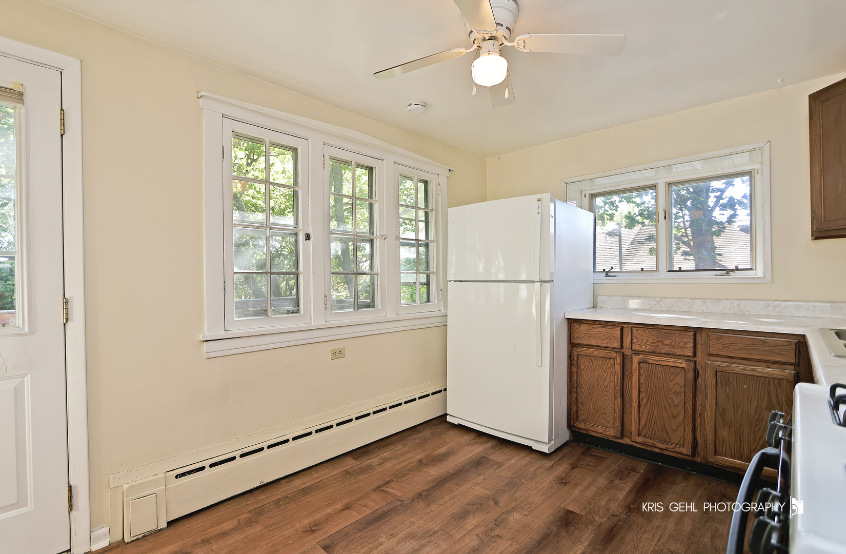 35565 Everett Avenue Ingleside, IL 60041 - Photo 6 of 18