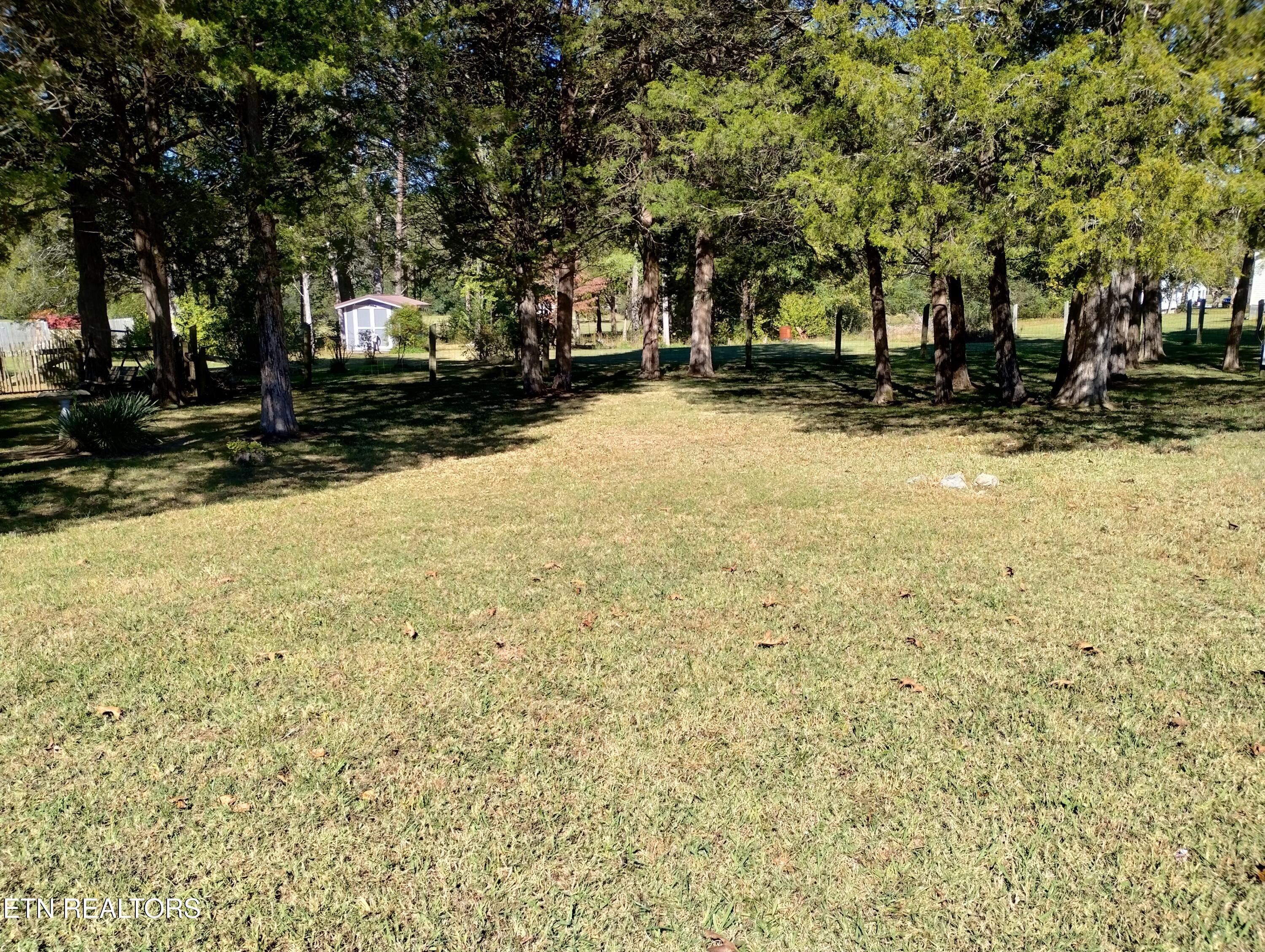 1043 Main Street Decatur, TN 37322 - Photo 2 of 4 IMG_20251015_120951931_HDR