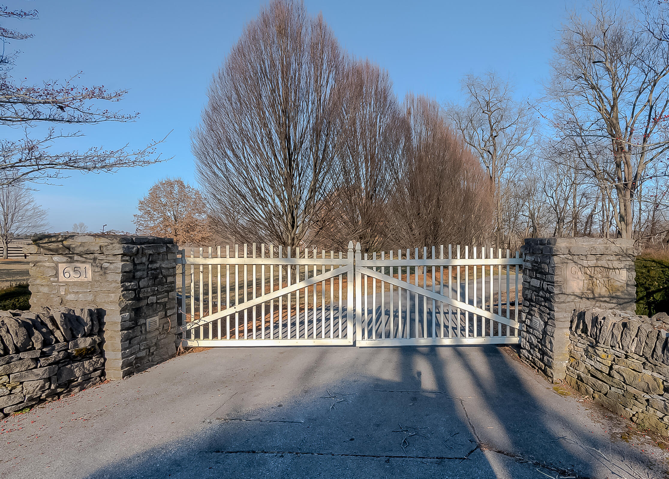 651 Johnston Road Lexington, KY 40511 - Photo 56 of 74 60-3-8