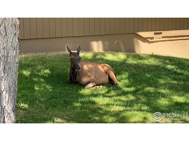 $345,000 | 1141 Fairway Club Circle, Unit C3, Estes Park, CO 80517