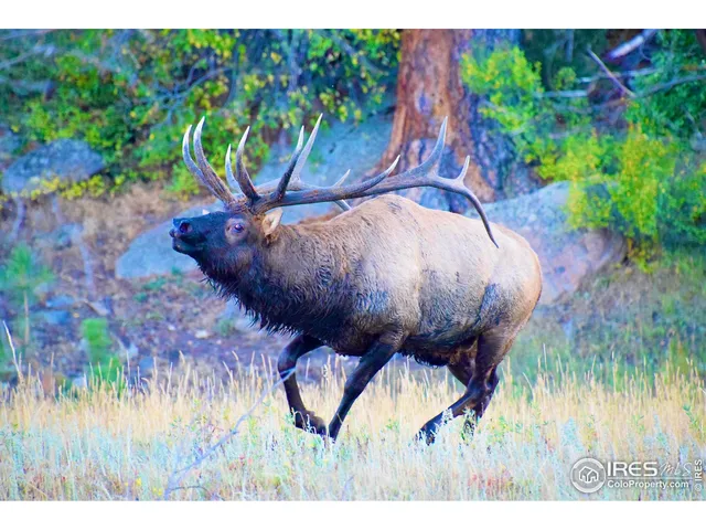 $345,000 | 1141 Fairway Club Circle, Unit C3, Estes Park, CO 80517