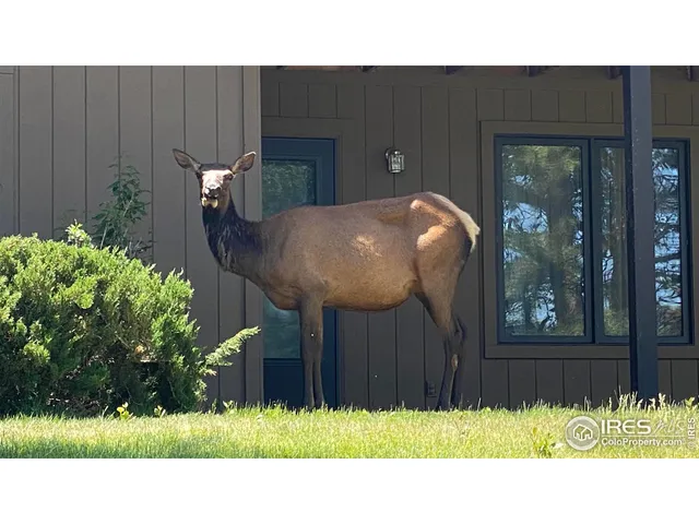 $345,000 | 1141 Fairway Club Circle, Unit C3, Estes Park, CO 80517