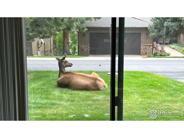 $345,000 | 1141 Fairway Club Circle, Unit C3, Estes Park, CO 80517