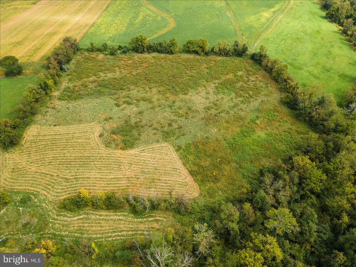 2753 Rushland Road Jamison, PA 18929 - Photo 53 of 60