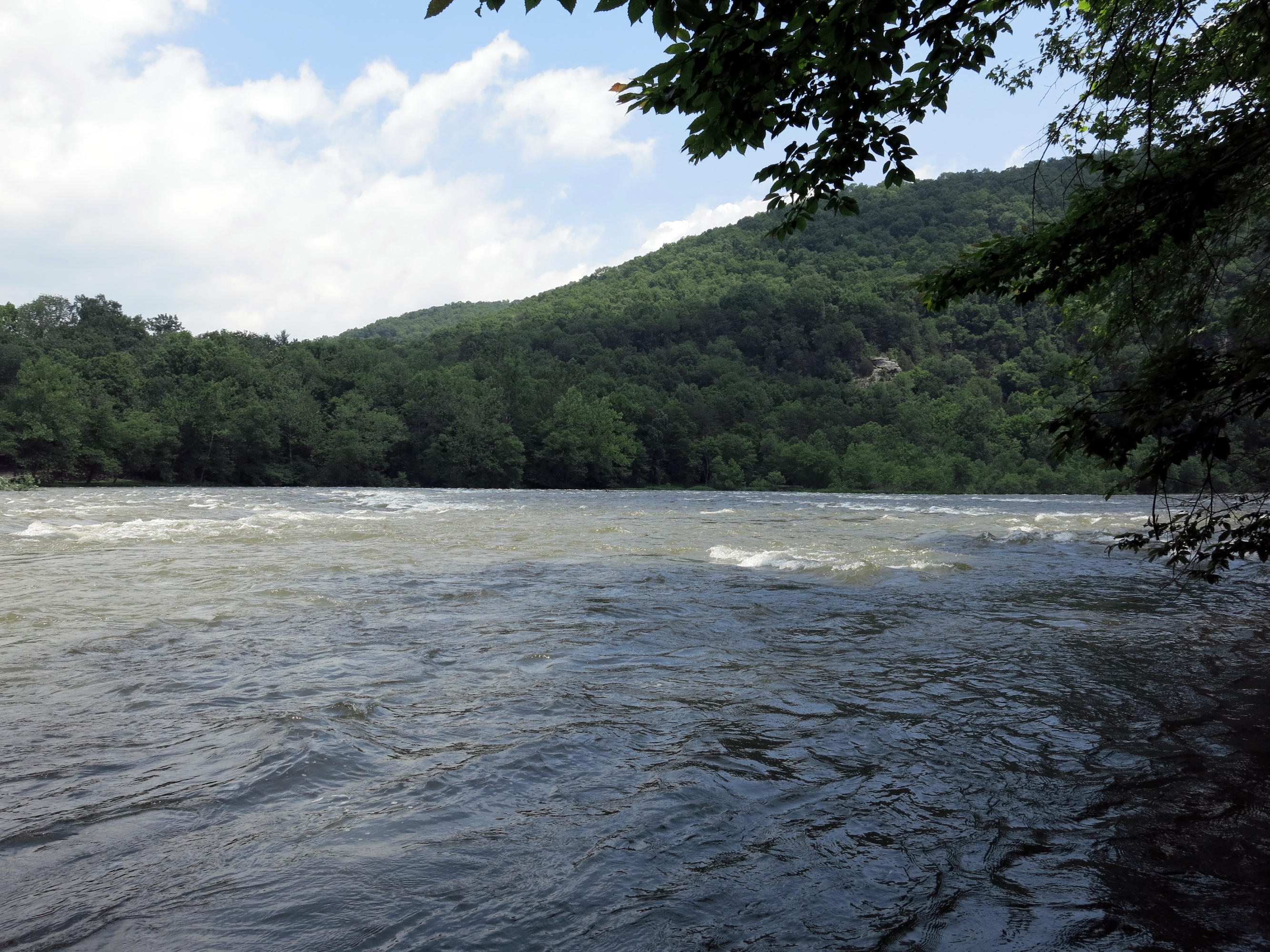 200 River Road Pipestem, WV 25979 - Photo 5 of 18 Gallery Image 5