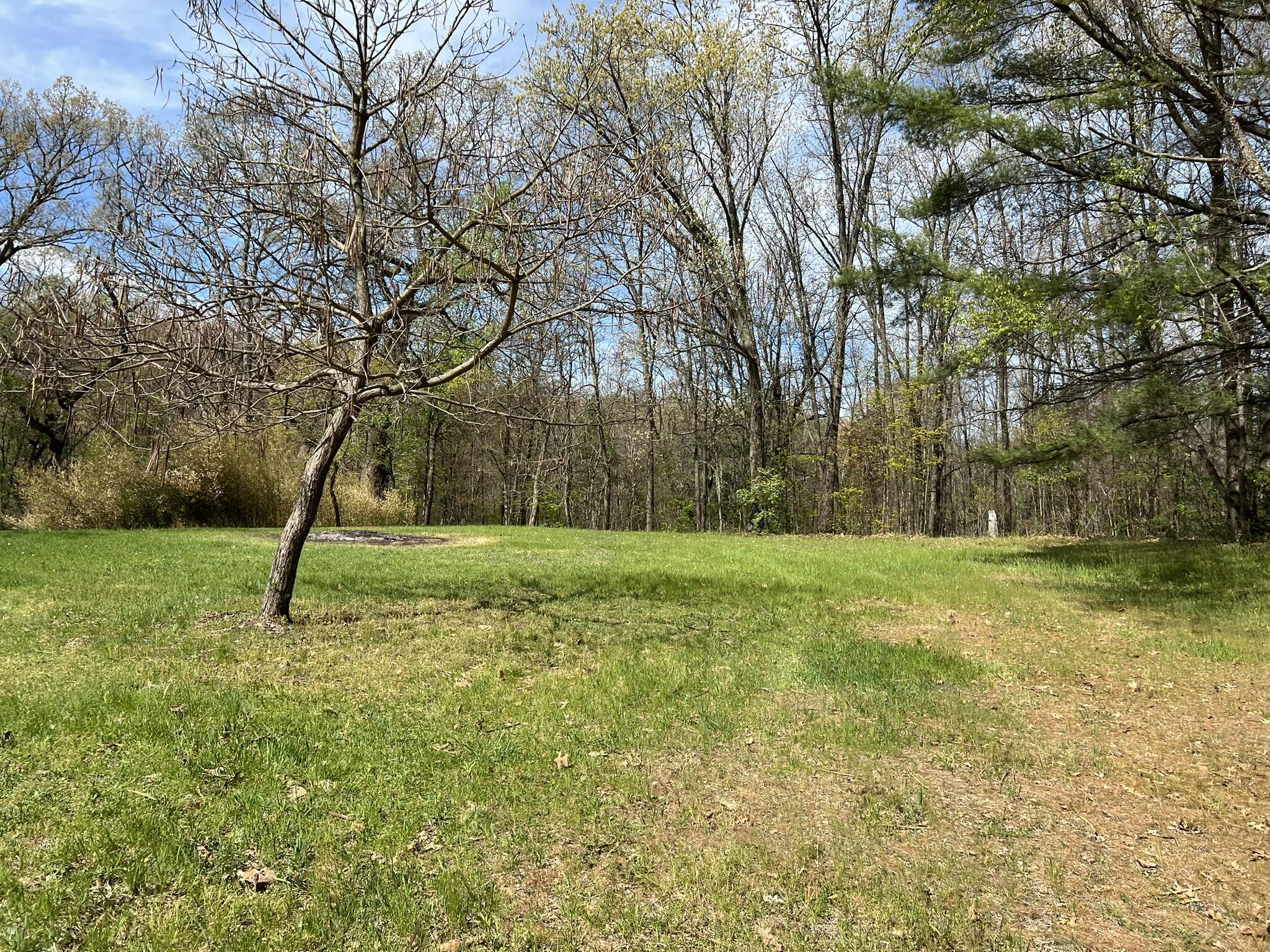 54622 Rudy Road Dowagiac, MI 49047 - Photo 6 of 24 IMG_3145