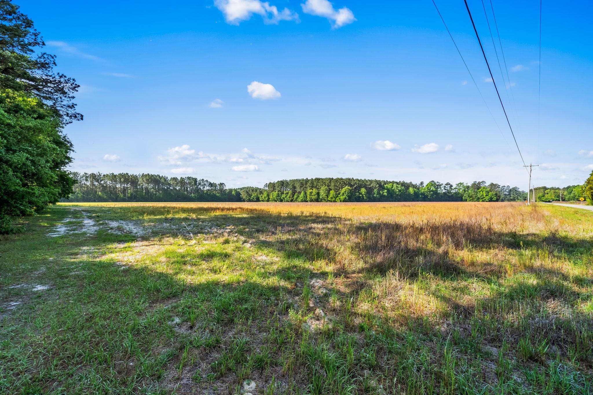 Tbd Ray Road Hemingway, SC 29554 - Photo 15 of 24