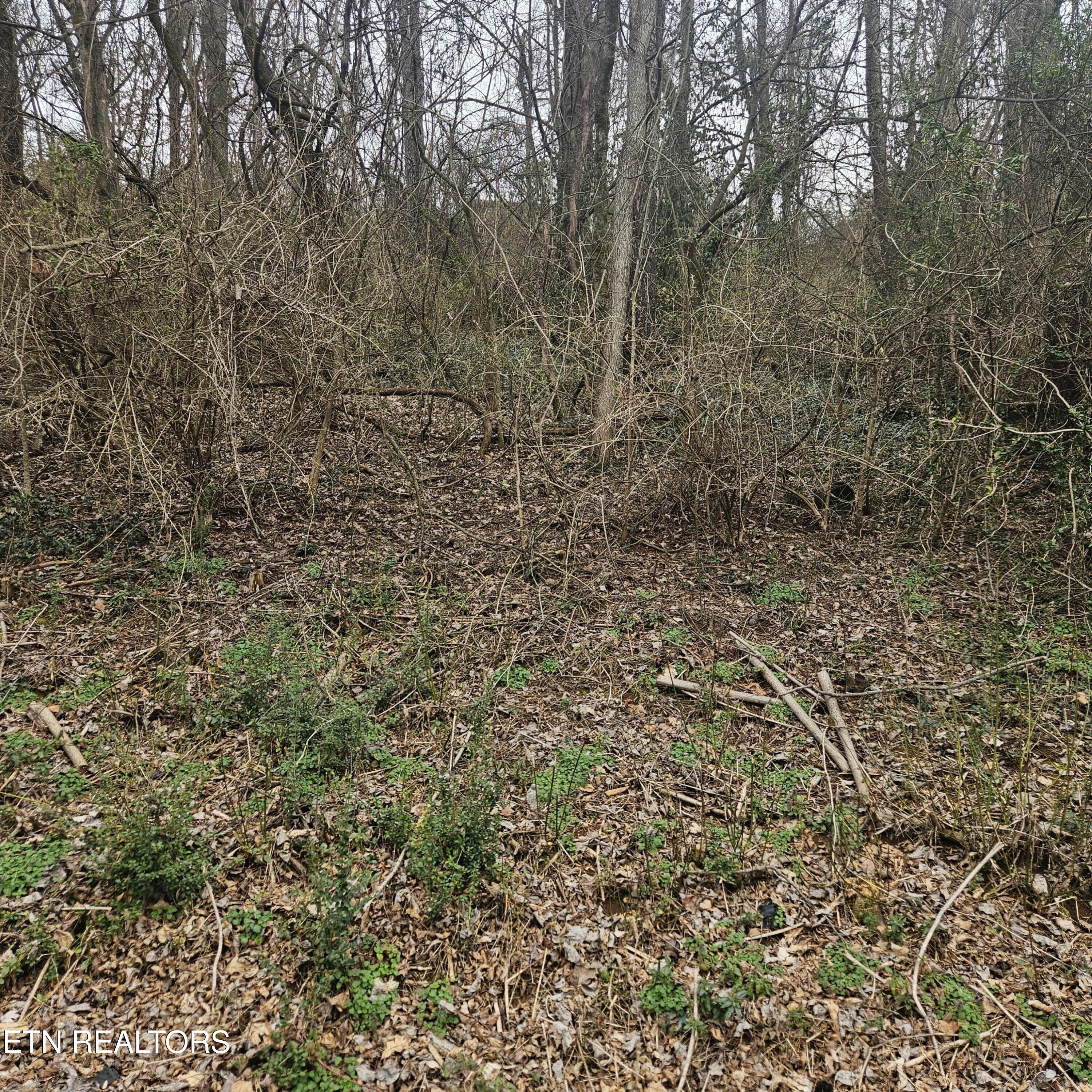 Cherokee Trail Seymour, TN 37865 - Photo 2 of 3 20250307_111540