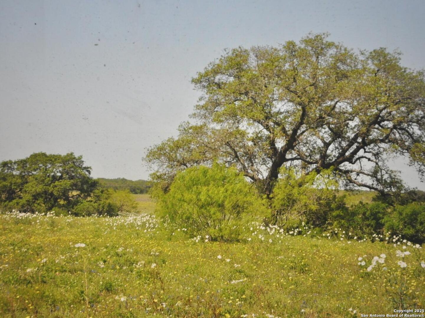Tbd Cr 2615 Devine, TX 78016 - Photo 2 of 5