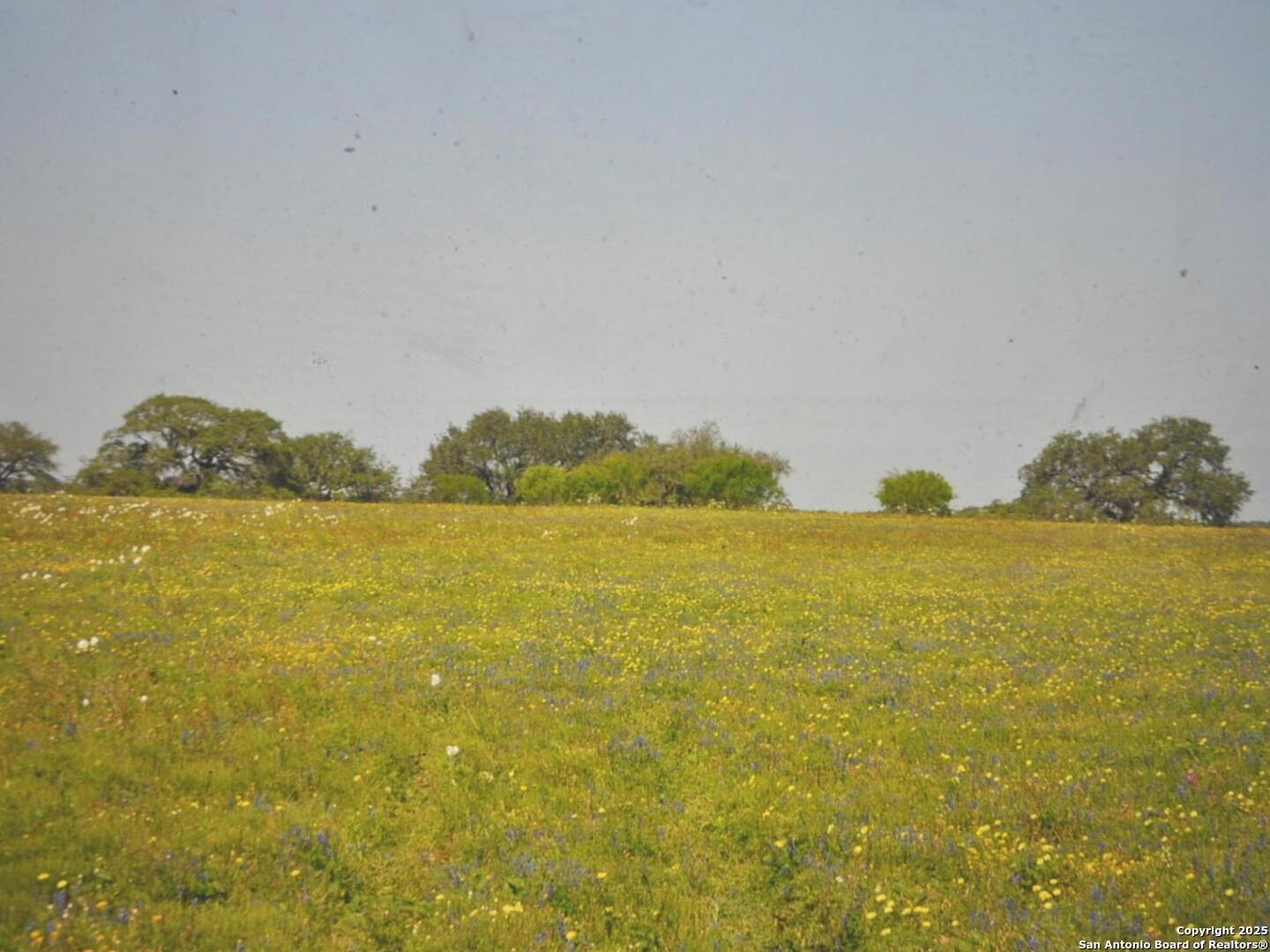 Tbd Cr 2615 Devine, TX 78016 - Photo 4 of 5