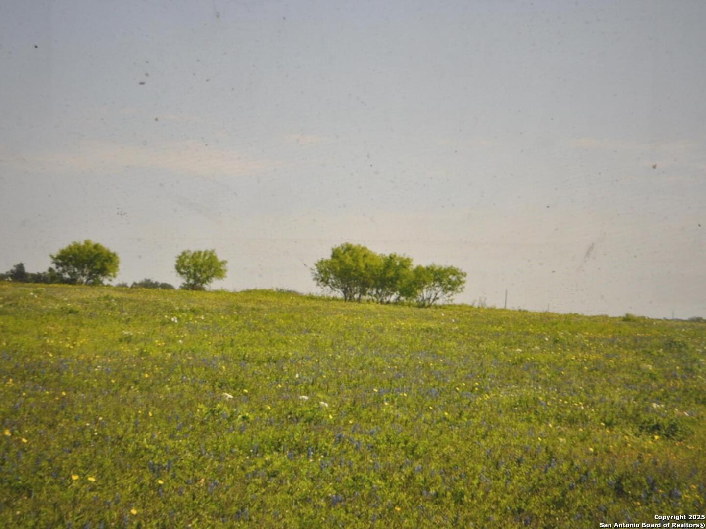 Tbd Cr 2615 Devine, TX 78016 - Photo 5 of 5