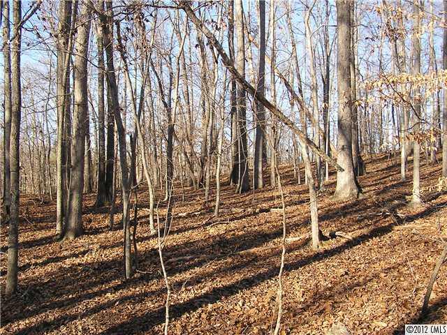 77-ac Boheler Road Clover, SC 29710 - Photo 11 of 15