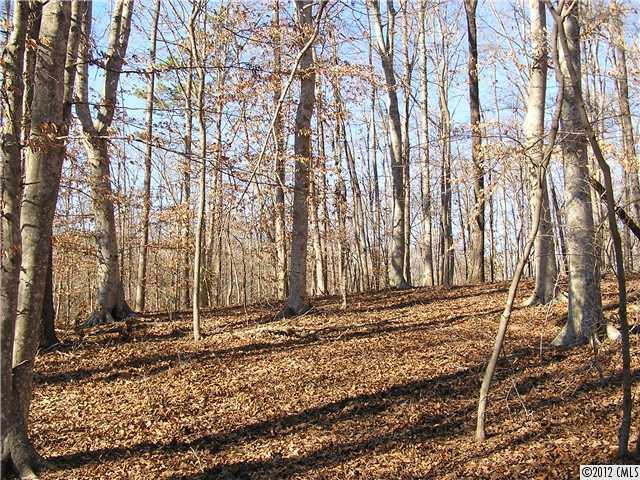 77-ac Boheler Road Clover, SC 29710 - Photo 12 of 15