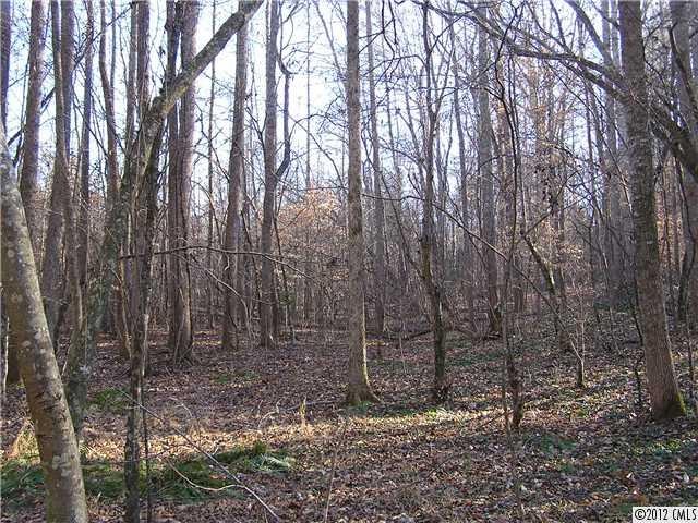 77-ac Boheler Road Clover, SC 29710 - Photo 14 of 15