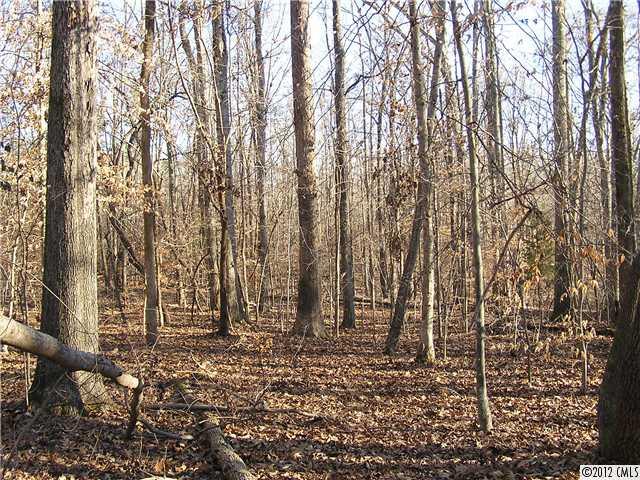 77-ac Boheler Road Clover, SC 29710 - Photo 3 of 15