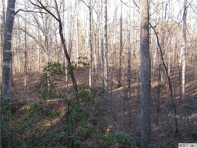 77-ac Boheler Road Clover, SC 29710 - Photo 5 of 15