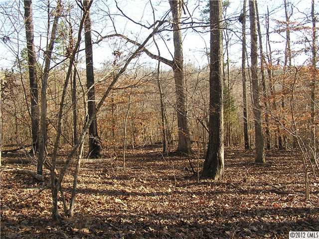 77-ac Boheler Road Clover, SC 29710 - Photo 10 of 15