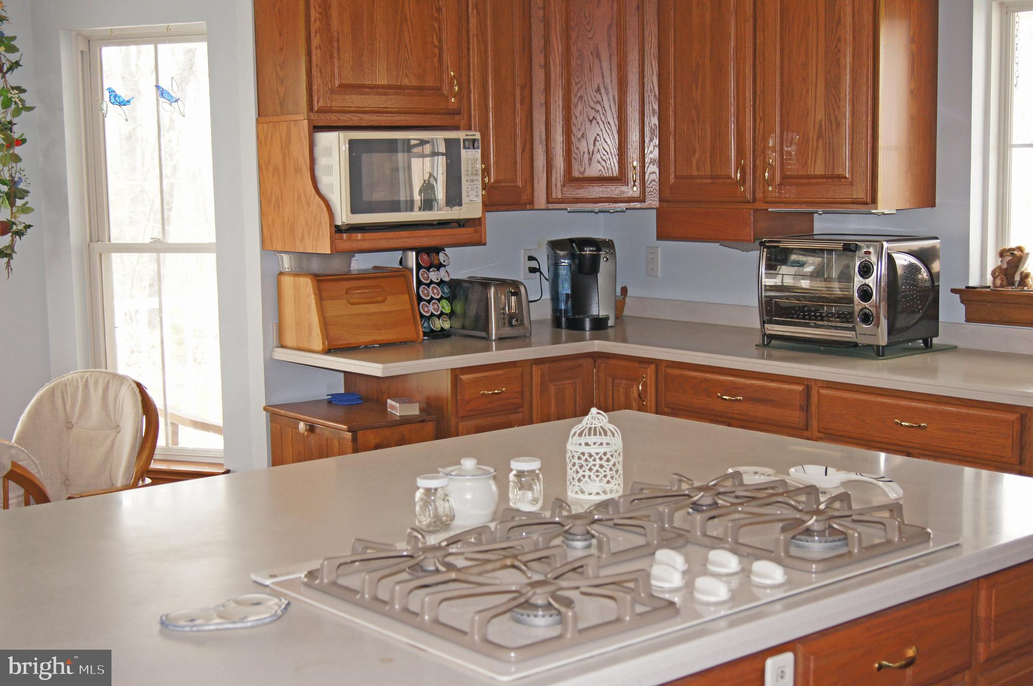 794 Turkey Ridge Road Castleton, VA 22716 - Photo 10 of 46