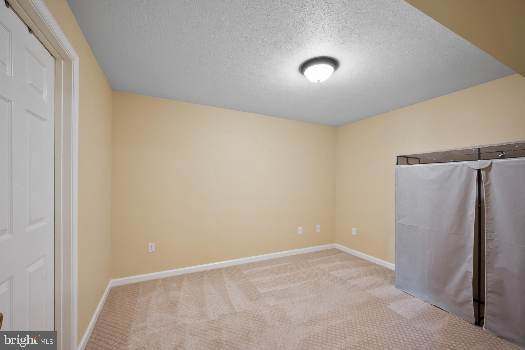 16410 Hudson Mill Road Culpeper, VA 22701 - Photo 23 of 35 Bonus room - basement