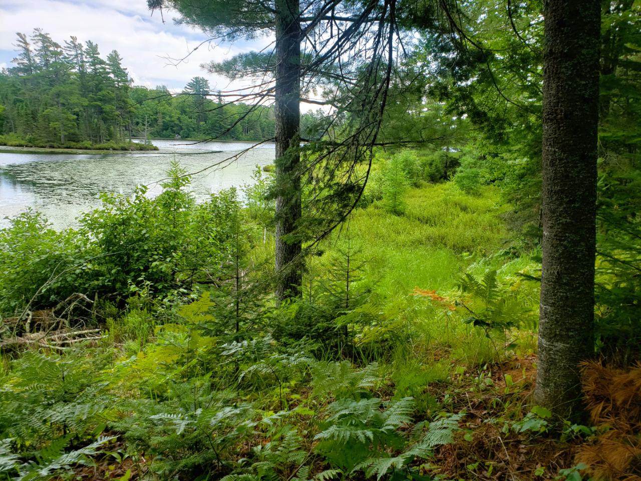 Lot 5 Blue Heron Ridge Road Mercer, WI 54547 - Photo 4 of 13 Gallery Image 4
