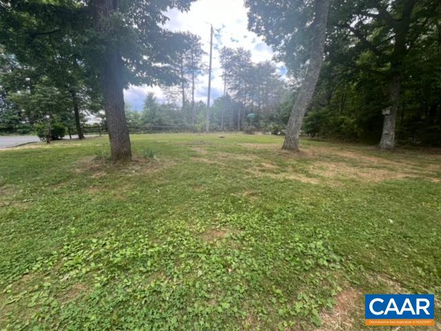 6250 Secretarys Sand Road Schuyler, VA 22969 - Photo 4 of 19