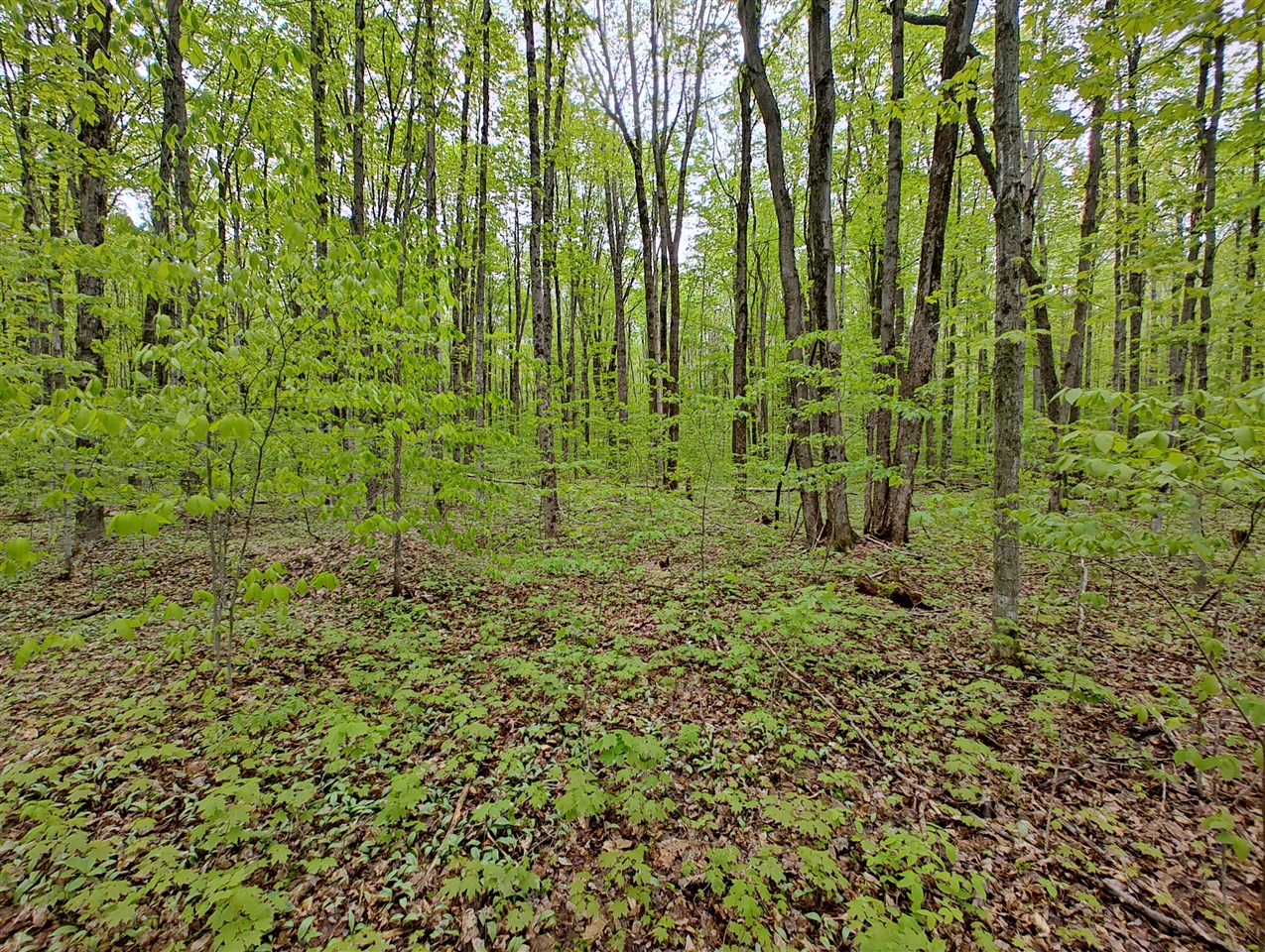 Vl Covert Road Northeast Mancelona, MI 49659 - Photo 10 of 22