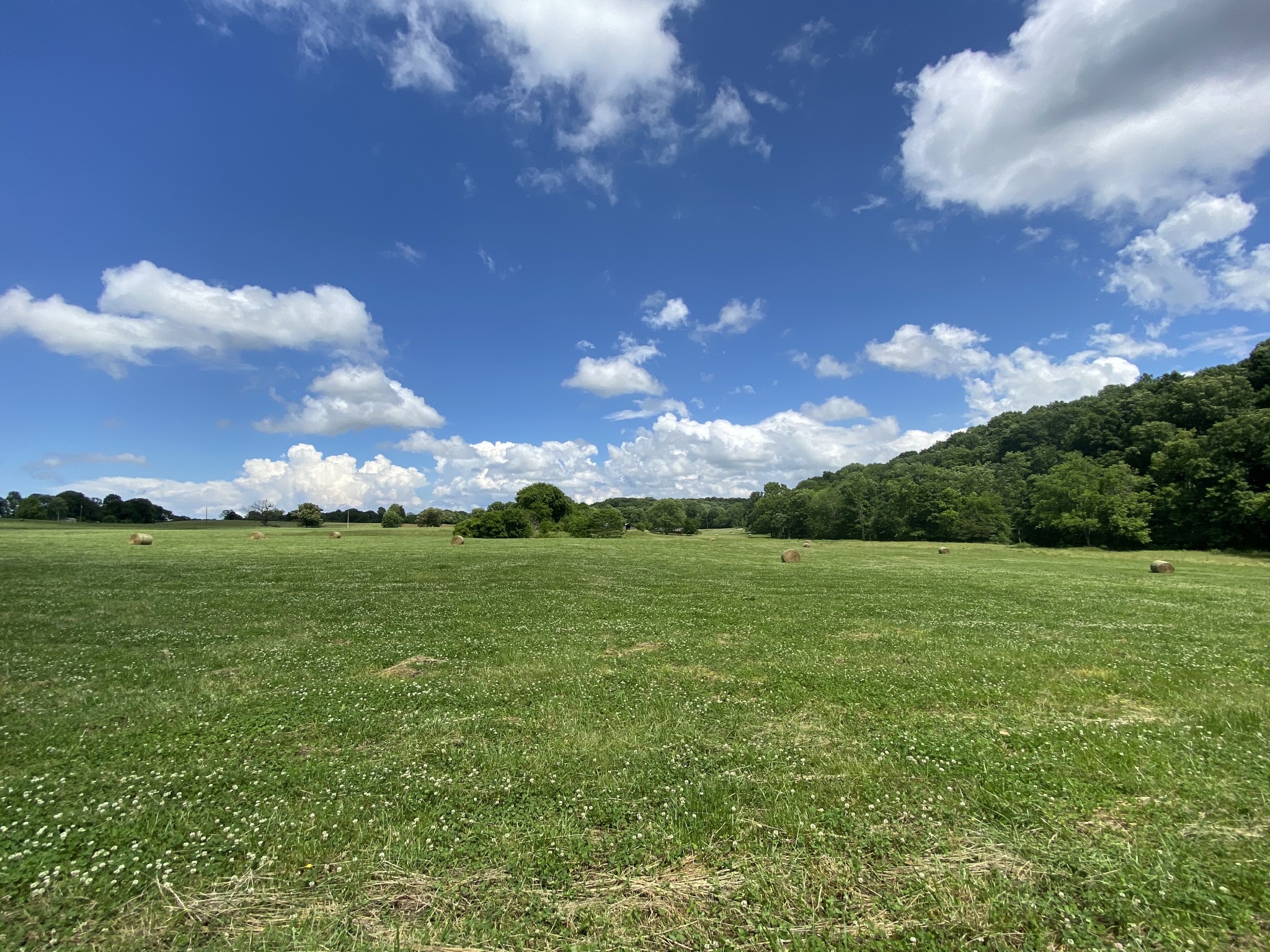 1170 Maxwell Branch Road Cottontown, TN 37048 - Photo 1 of 1 Gallery Image 1