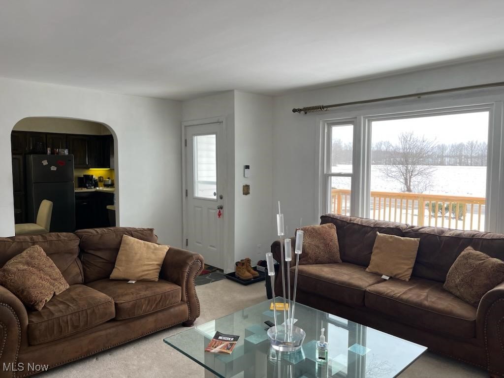 3113 Hague Road Orwell, OH 44076 - Photo 12 of 23 View of carpeted living room