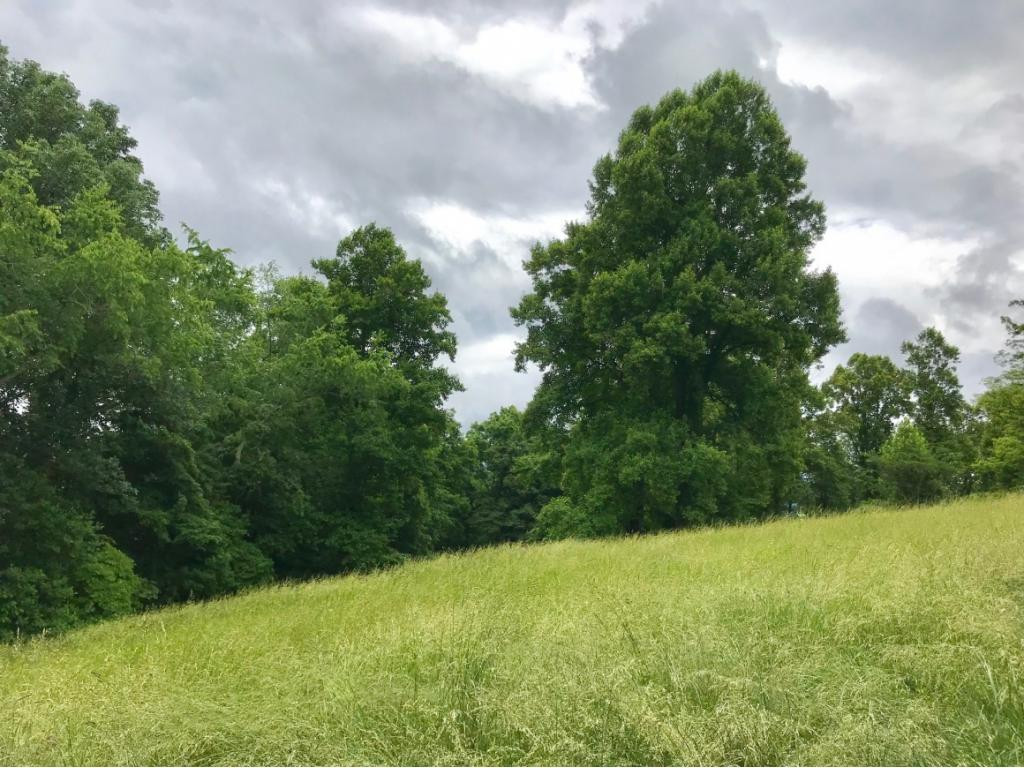 518 Beech Forest Road Bristol, TN 37620 - Photo 11 of 26 Photo 11
