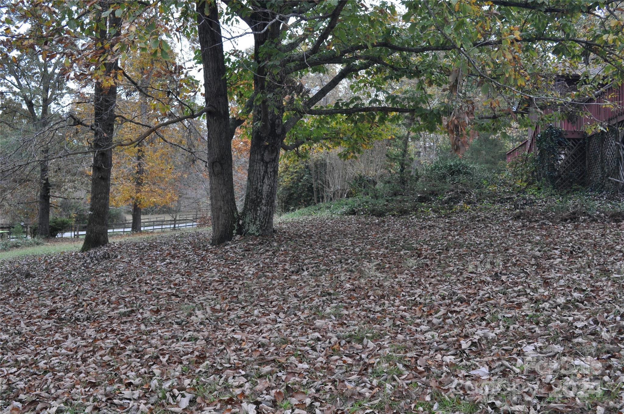 451 Bill Holbert Road Tryon, NC 28782 - Photo 16 of 35 a backyard of a house with lots of green space