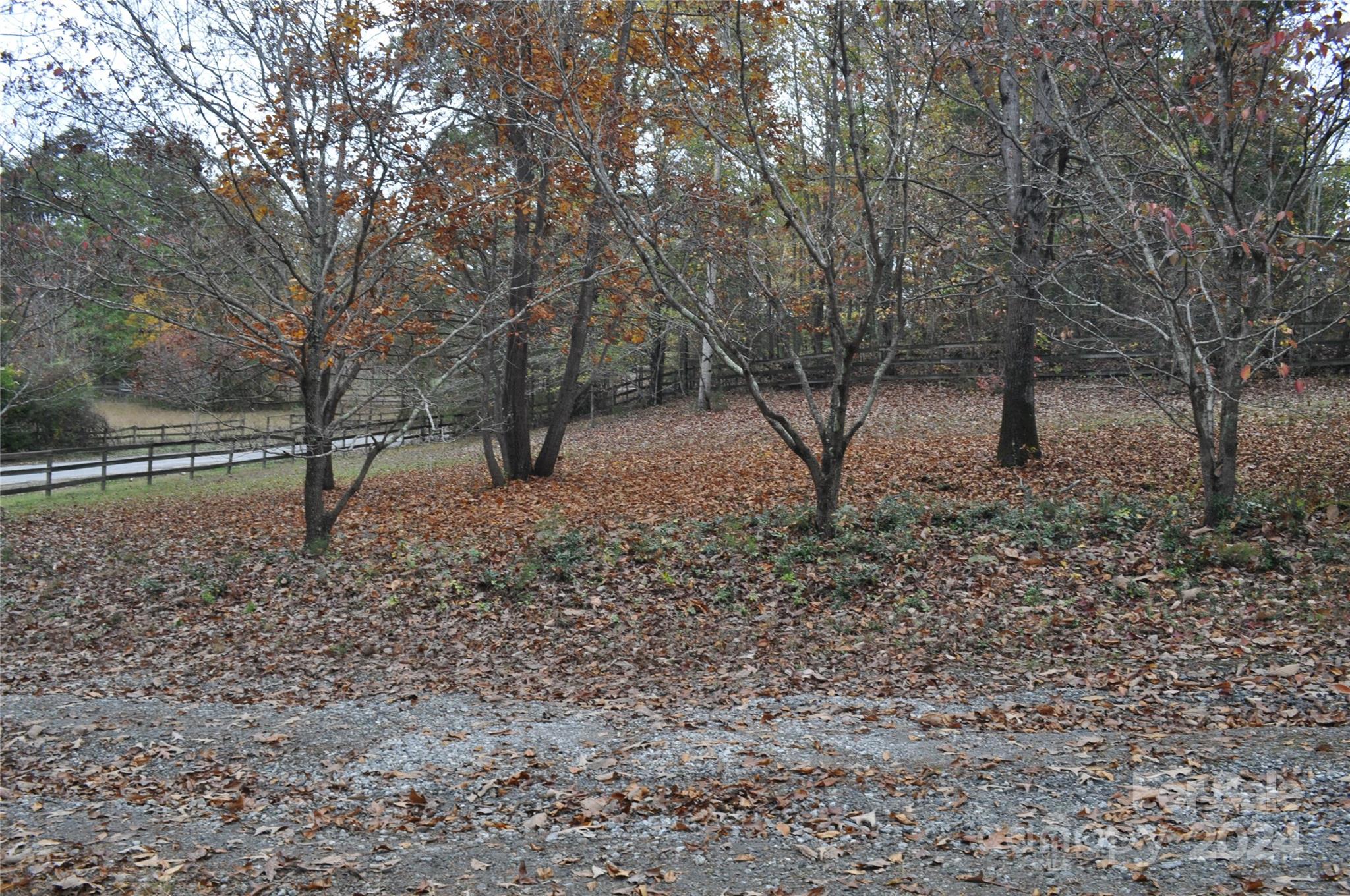 451 Bill Holbert Road Tryon, NC 28782 - Photo 17 of 35 a view of some trees in the forest