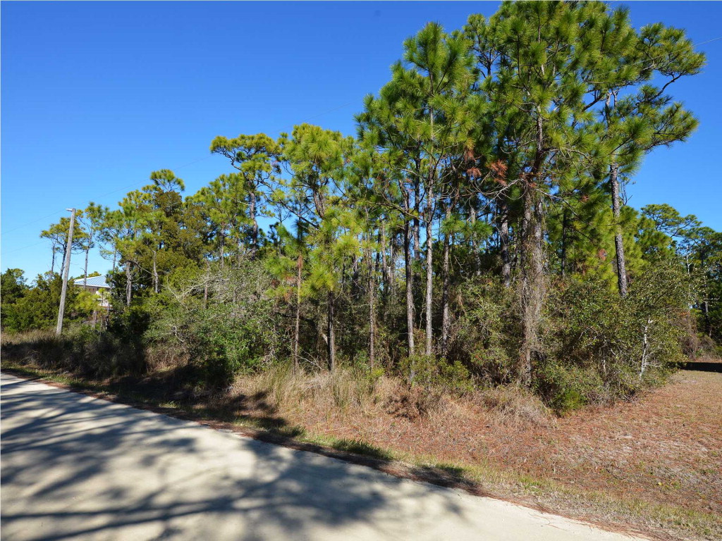 323 Howell Street Eastpoint, FL 32328 - Photo 3 of 10